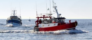 k4_24341523.jpg